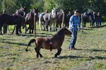 Jméno souboru : DSC_2742_upn.jpg
Velikost souboru : 1142KB
Rozměry : 1600x1064
Datum přidání : Říjen 04, 2015 DSC_2742_upn.jpg