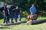 Jméno souboru : DSC_2744_upn.jpg
Velikost souboru : 935KB
Rozměry : 1600x1064
Datum přidání : Říjen 04, 2015 DSC_2744_upn.jpg