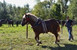 Jméno souboru : DSC_2747_upn.jpg
Velikost souboru : 1053KB
Rozměry : 1600x1064
Datum přidání : Říjen 04, 2015 DSC_2747_upn.jpg