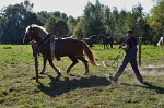 Jméno souboru : DSC_2748_upn.jpg
Velikost souboru : 1064KB
Rozměry : 1600x1064
Datum přidání : Říjen 04, 2015 DSC_2748_upn.jpg