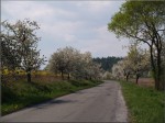 Jméno souboru : Býkovská_alej_4.jpg
Velikost souboru : 439KB
Rozměry : 800x600
Datum přidání : Květen 02, 2007 Býkovská_alej_4.jpg