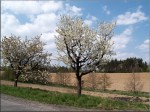 Jméno souboru : Býkovská_alej_6.jpg
Velikost souboru : 488KB
Rozměry : 800x600
Datum přidání : Květen 02, 2007 Býkovská_alej_6.jpg