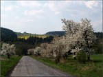 Jméno souboru : Býkovská_alej_9.jpg
Velikost souboru : 410KB
Rozměry : 800x600
Datum přidání : Květen 02, 2007 Býkovská_alej_9.jpg