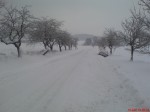 Jméno souboru : DSC04985.jpg
Velikost souboru : 319KB
Rozměry : 1632x1224
Datum přidání : Leden 19, 2010 DSC04985.jpg