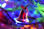 DSC_0817_upn.jpg