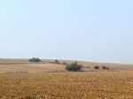 Jméno souboru : P1040175.JPG
Velikost souboru : 316KB
Rozměry : 1024x768
Datum přidání : Červen 04, 2009 P1040175.JPG