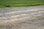 Jméno souboru : kameni.jpg
Velikost souboru : 556KB
Rozměry : 1200x798
Datum přidání : Květen 10, 2013 kameni.jpg