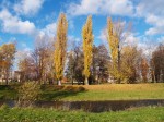 Jméno souboru : podzim_6.jpg
Velikost souboru : 274KB
Rozměry : 800x600
Datum přidání : Listopad 06, 2007 podzim_6.jpg