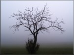 Jméno souboru : podzim_9.jpg
Velikost souboru : 126KB
Rozměry : 800x600
Datum přidání : Listopad 06, 2007 podzim_9.jpg